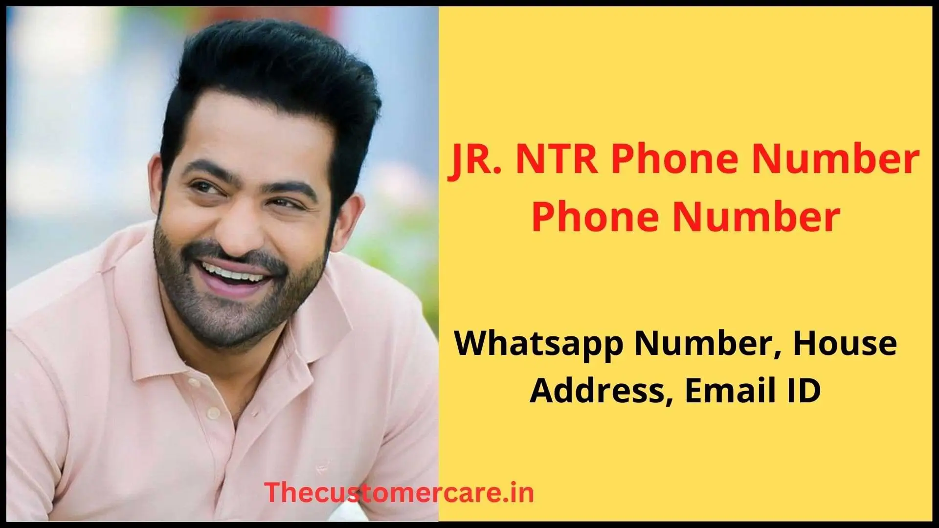 NTR Phone Number